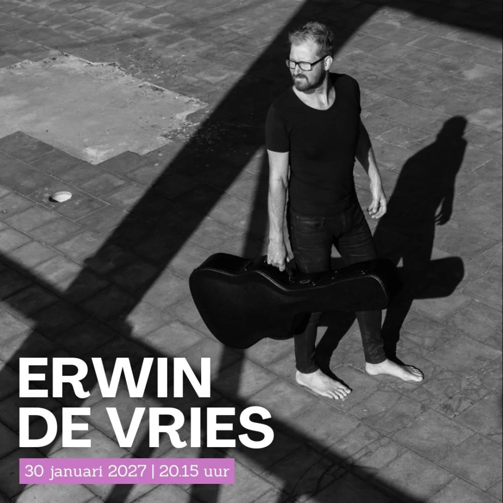 Erwin de Vries