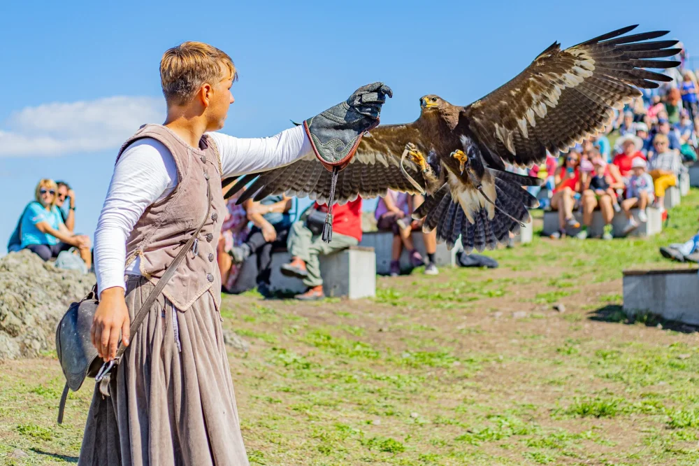 Roofvogelshow + Bezoek Kasteel de Keverberg 30-07
